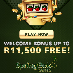 Claim up to R11 500.00 worth of bonuses available at Springbok Casino